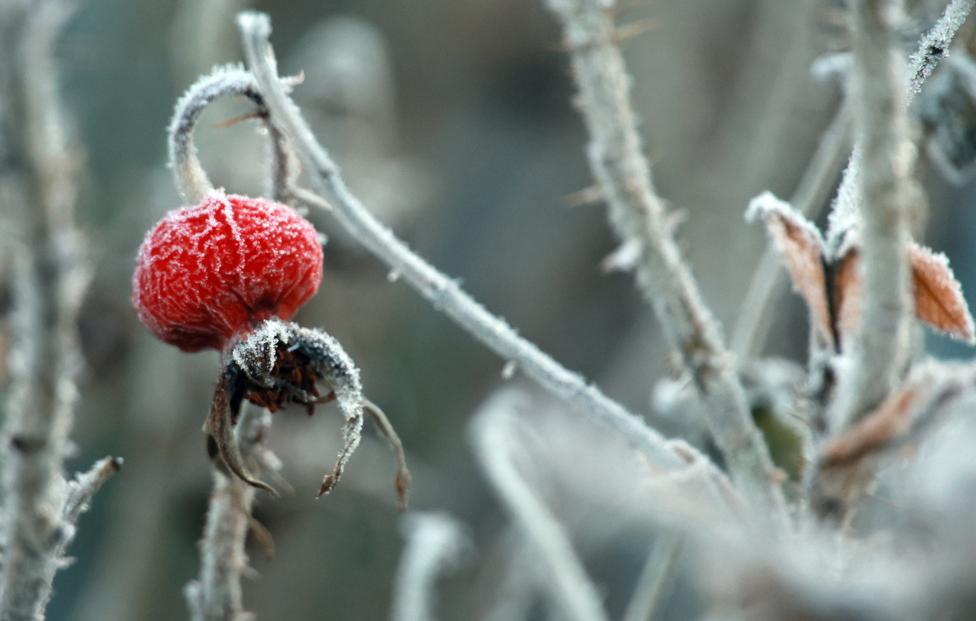 Владимир Смирнов/ ТАСС