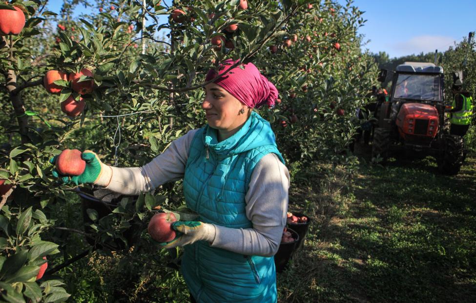  Денис Абрамов/ ТАСС