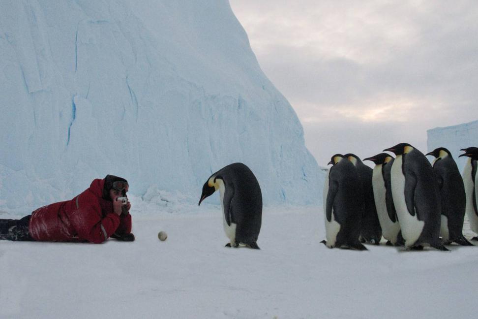  Юрий Мизин/ ААНИИ