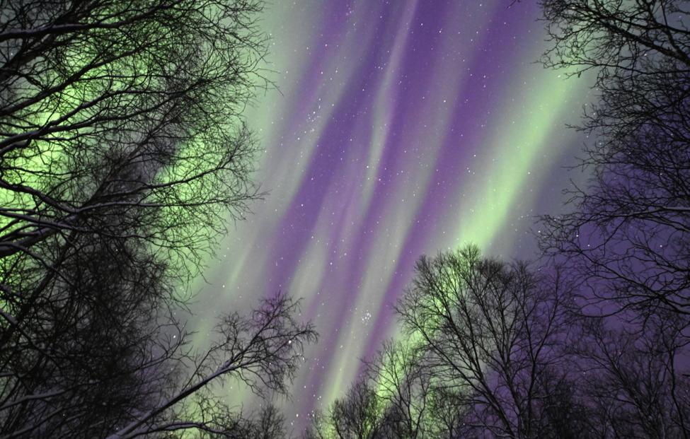  Лев Федосеев/ ТАСС