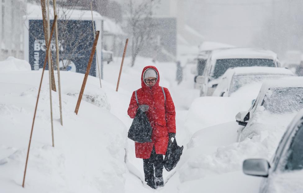 Николай Михальченко/ ТАСС