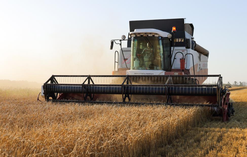  Эрик Романенко/ ТАСС