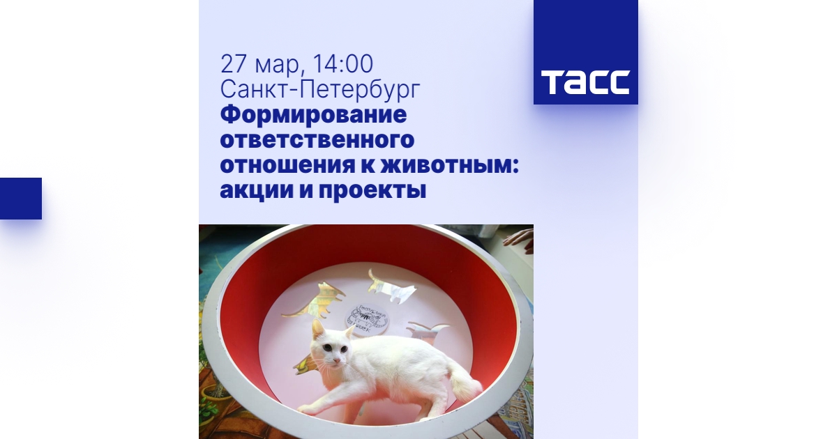 Формирование ответственного отношения к животным: акции и проекты ...