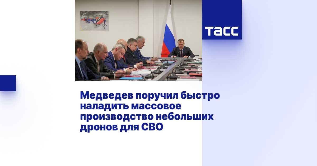 Медведев поручил быстро наладить массовое производство небольших дронов ...
