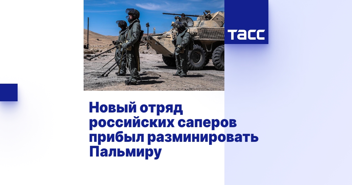 Новый отряд российских саперов прибыл разминировать Пальмиру - ТАСС