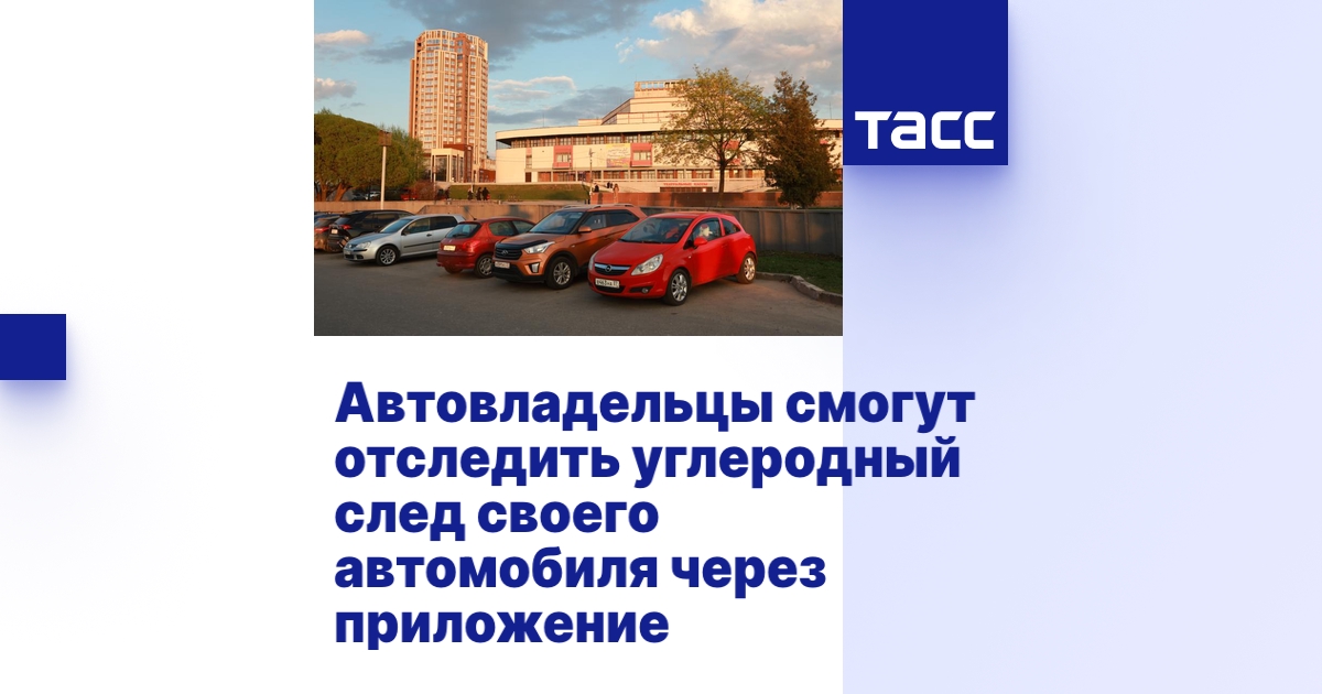 Bizupon отследить авто
