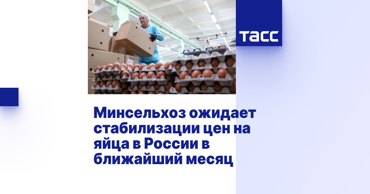 Минсельхоз ожидает стабилизации цен на яйца в России в ближайший месяц