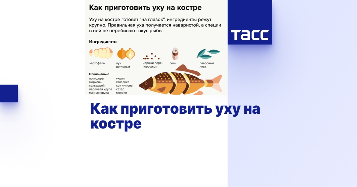 Как приготовить уху на костре - Инфографика ТАСС