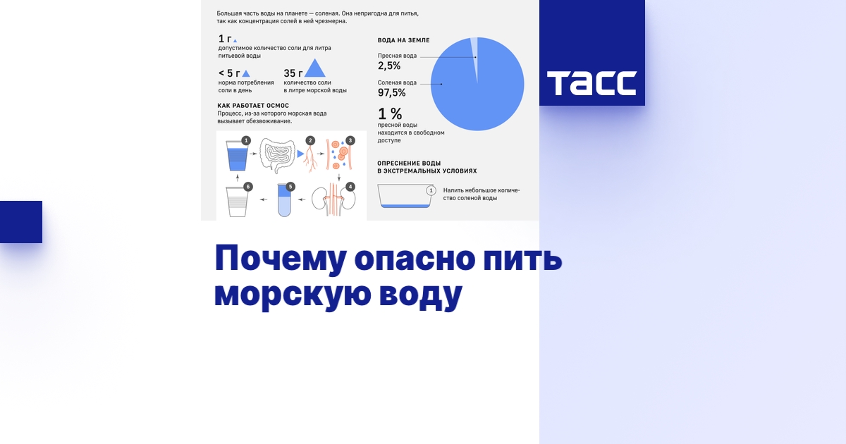 Почему нельзя пить морскую воду