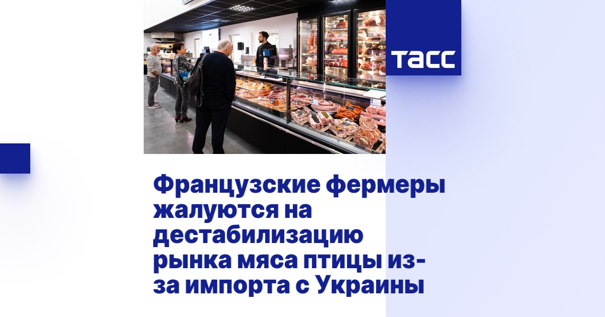 Французские фермеры жалуются на дестабилизацию рынка мяса птицы из-за ...