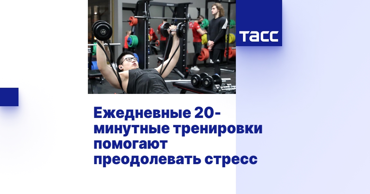 ����������� + ���� ��������: ����.