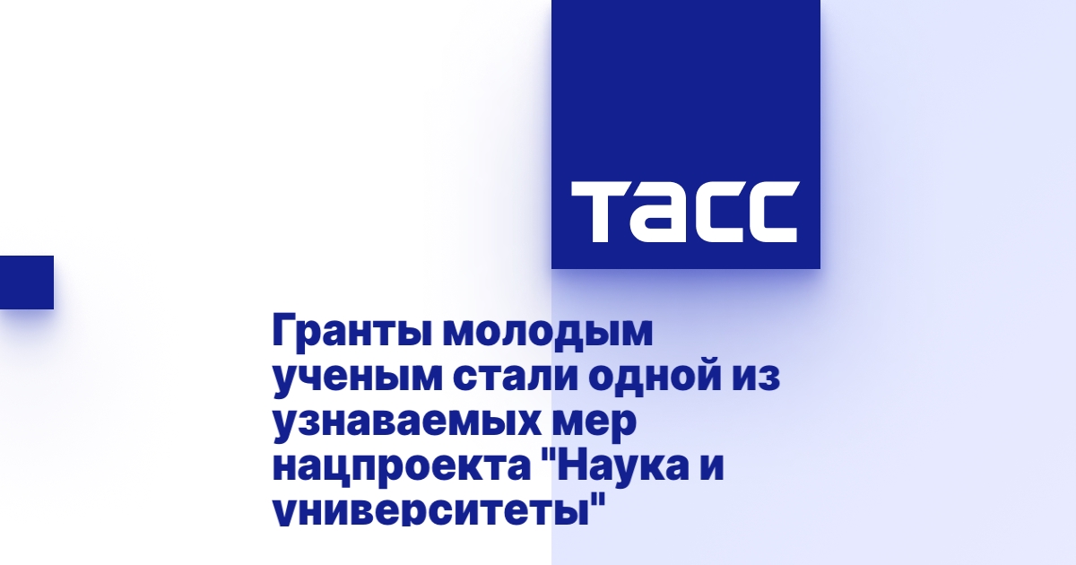Гранты молодым ип