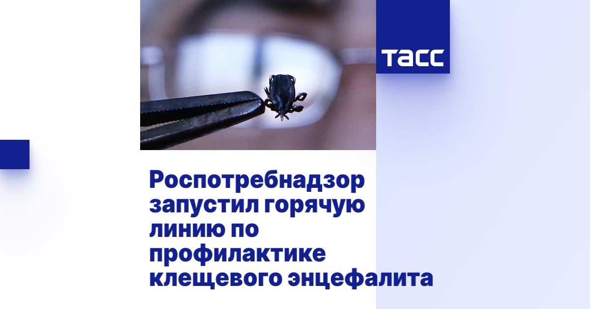 Роспотребнадзор запустил горячую линию по профилактике клещевого энцефалита