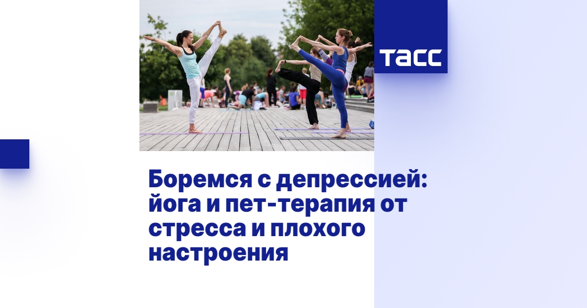 Эффективные способы борьбы