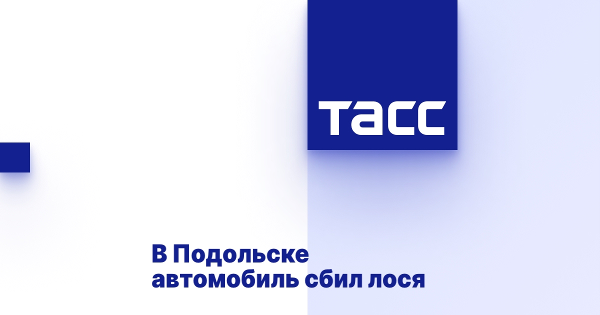 Автомобиль сбил лося