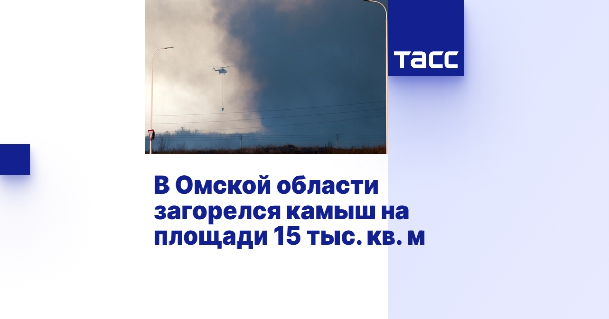 В Омской области загорелся камыш на площади 15 тыс. кв. м