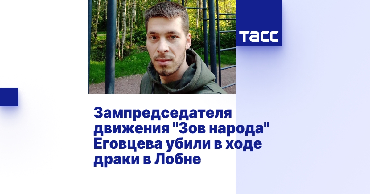 Зампредседателя движения \"Зов народа\" Еговцева убили в ходе драки в Лобне