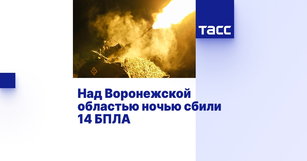 Над Воронежской областью ночью сбили 14 БПЛА